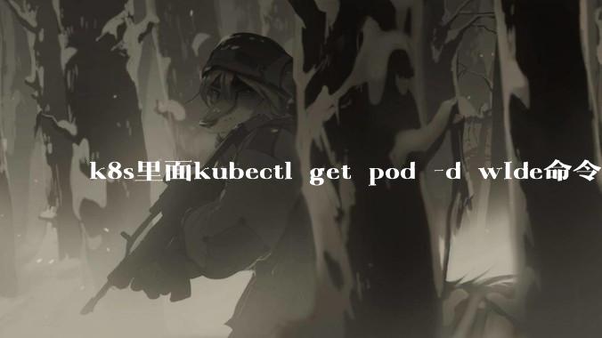 k8s里面kubectl get pod -d wide命令作用是什么？