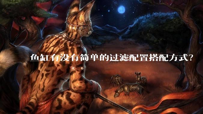 鱼缸有没有简单的过滤配置搭配方式？