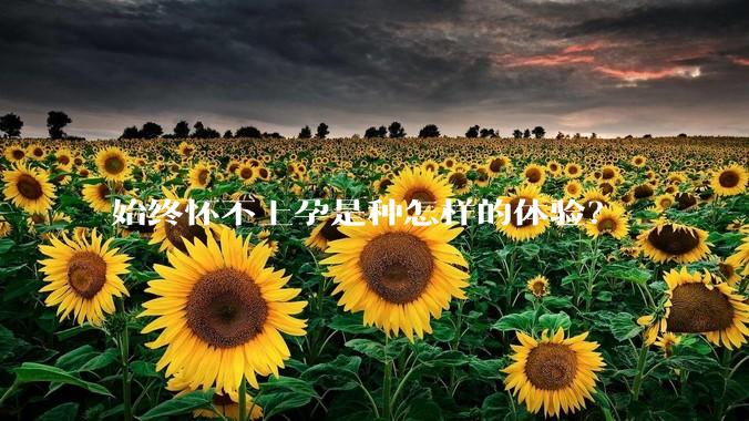 始终怀不上孕是种怎样的体验？